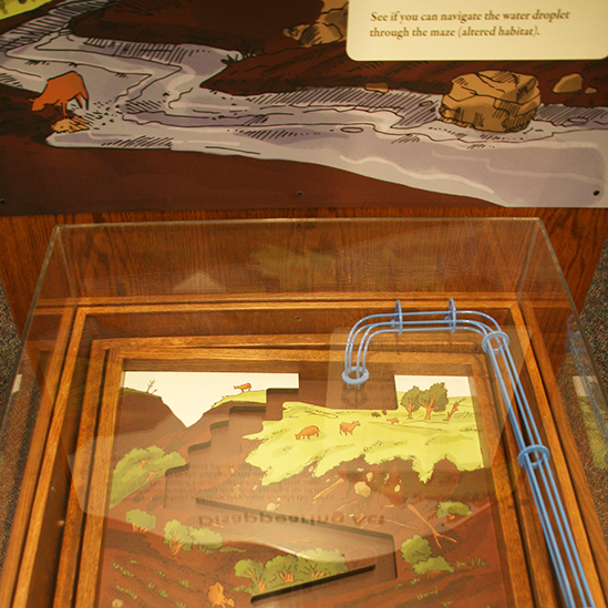 ball maze game